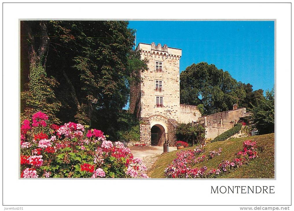 CPSM Montendre Les Pins    L1037 - Montendre