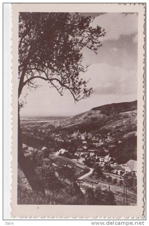 ALL.152/ Région De Buhl - Foret Noire - Vue De Buhlertal En Direction De La Plaine Du Rhin - Buehlertal