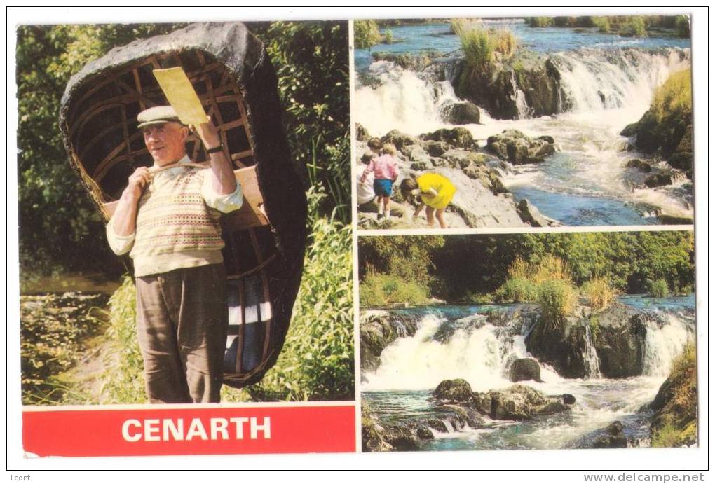 Wales - Cenarth - Mosiac Postcard - 3 Views - 1984 - Carmarthenshire