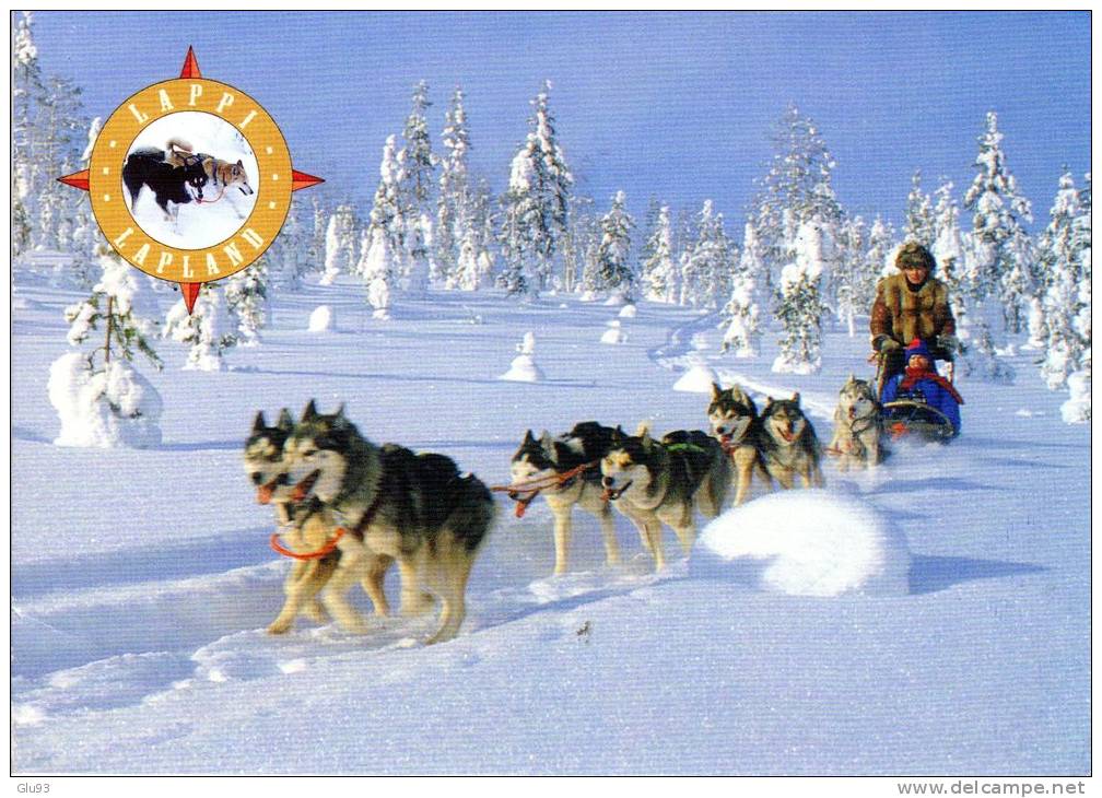 CPM - Laponie (Finlande - Suède) - Lapland - Chiens Traîneau - Finlandia