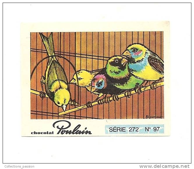 Image,  Chocolat Poulain - Série 272 - N°97 - Ouvrez La Cage Aux Oiseaux - Autres & Non Classés