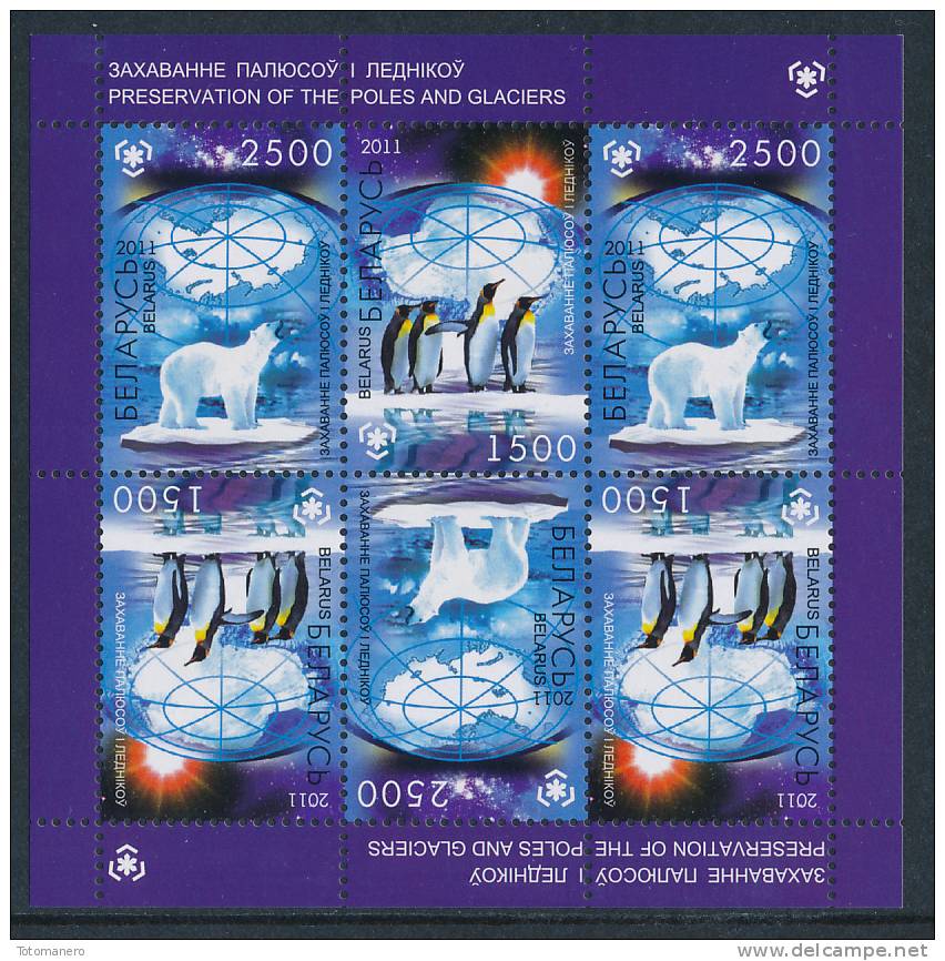 BELARUS/Weißrussland, IPY International Polar Year - Preserve The Polar Regions And Glaciers Minisheet** - Schützen Wir Die Polarregionen Und Gletscher