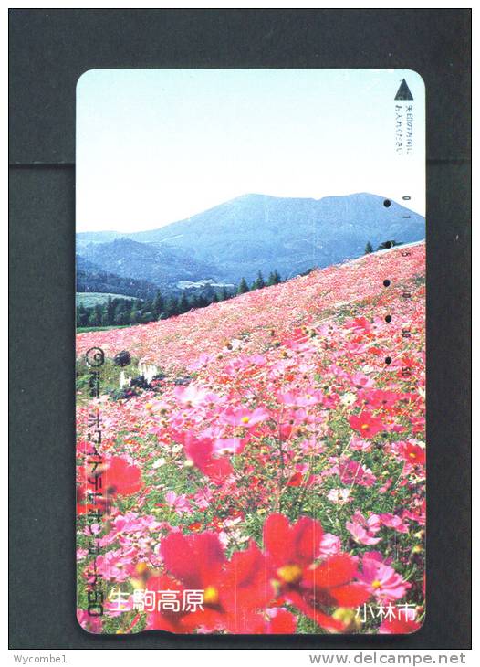 JAPAN  -  Magnetic Phonecard As Scan (110-011) - Japan