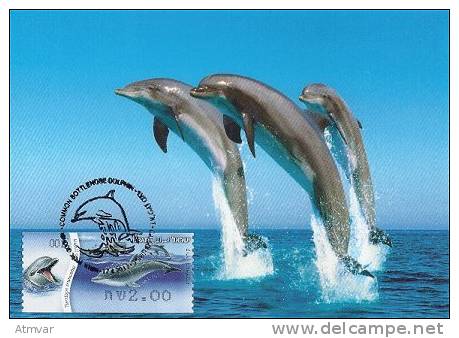 ISRAEL (2012) - Tarjeta Máxima / Maximum Card ATM. Delfín Mular / Common Bottlenose Dolphin (Tursiops Truncatus) - Tarjetas – Máxima