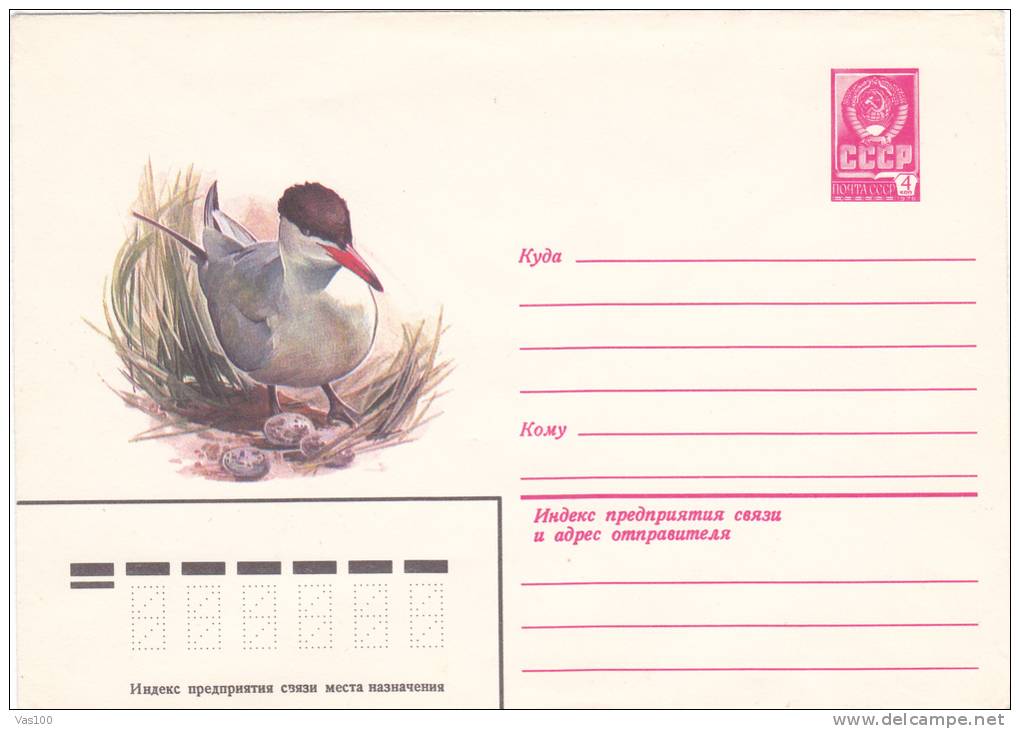 DUCK, 1981, COVER STATIONERY, ENTIER POSTAL, UNUSED, RUSSIA - Swans