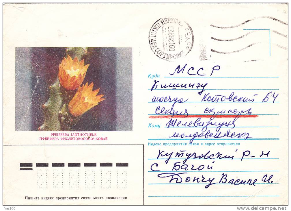 CACTUS, 1987, COVER STATIONERY, ENTIER POSTAL, SENT TO MAIL, RUSSIA - Sukkulenten