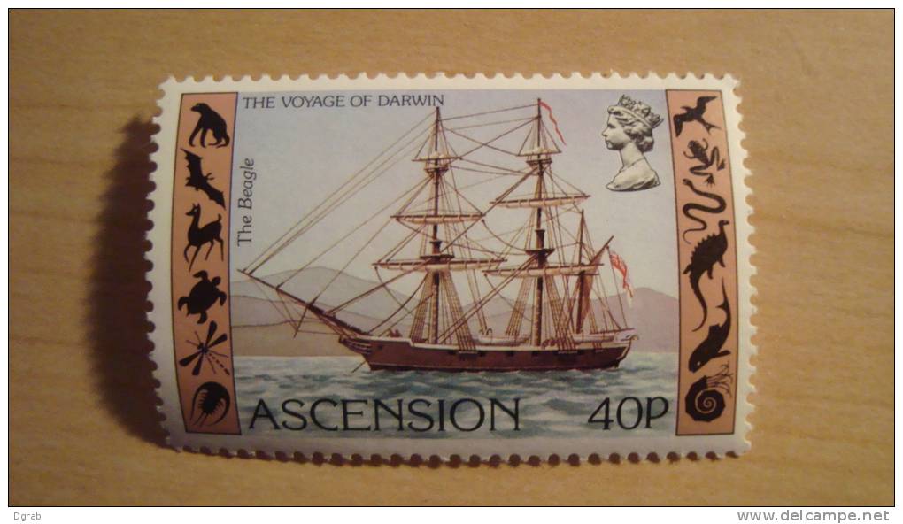 Ascension  1982  Scott #308  Mint - Ascension (Ile De L')