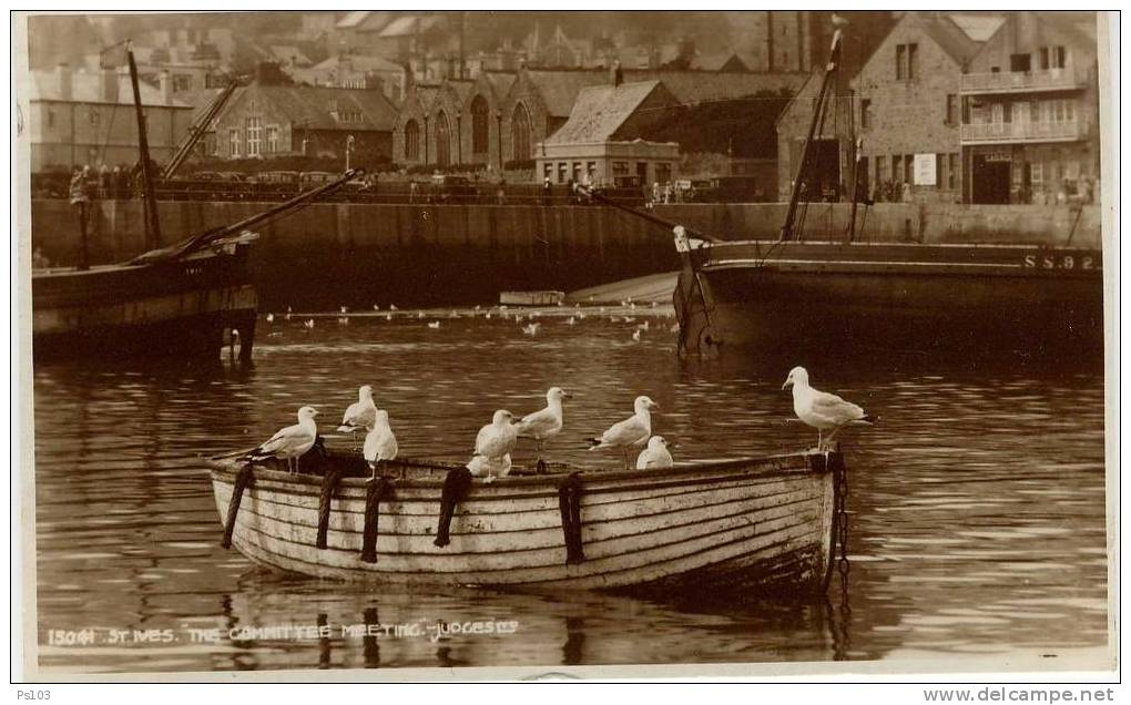 Angleterre - St. Ives (Cornwall) - Harbour - "The Committee Meeting" - St.Ives