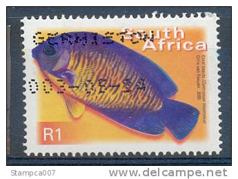 Fauna  Fish Poisson Vis Used Cancelled - Autres & Non Classés