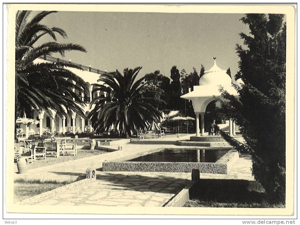 Tunisie - Photographie, Palmier, Hôtel - Lieux