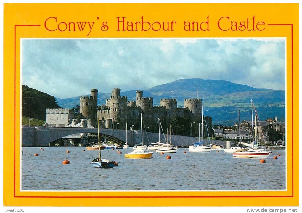CPSM Harbour And Castle-Conwy   L1040 - Autres & Non Classés