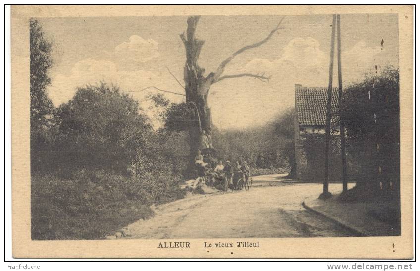 ALLEUR (4432) Le Vieux Tilleul - Ans