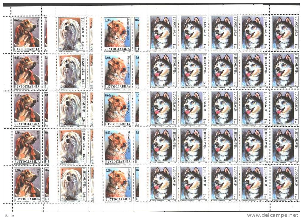 Jugoslawien – Yugoslavia 1994 Animals – Dogs In Full Sheets Of 25 MNH, 2 X; Michel # 2662-65 - Ungebraucht