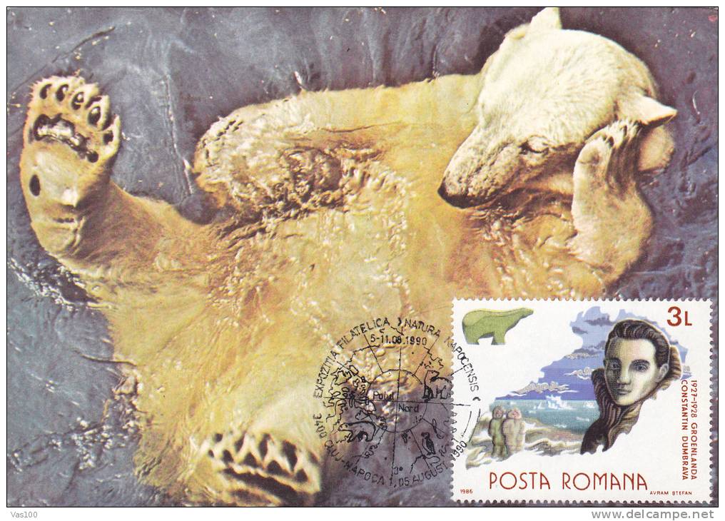 BEAR, OURS, 1990, CM. MAXI CARD, CARTES MAXIMUM, ROMANIA - Bären