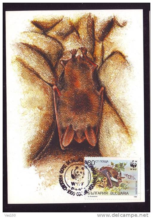 BAT, 1989, CM. MAXI CARD, CARTES MAXIMUM, BULGARIA - Chauve-souris
