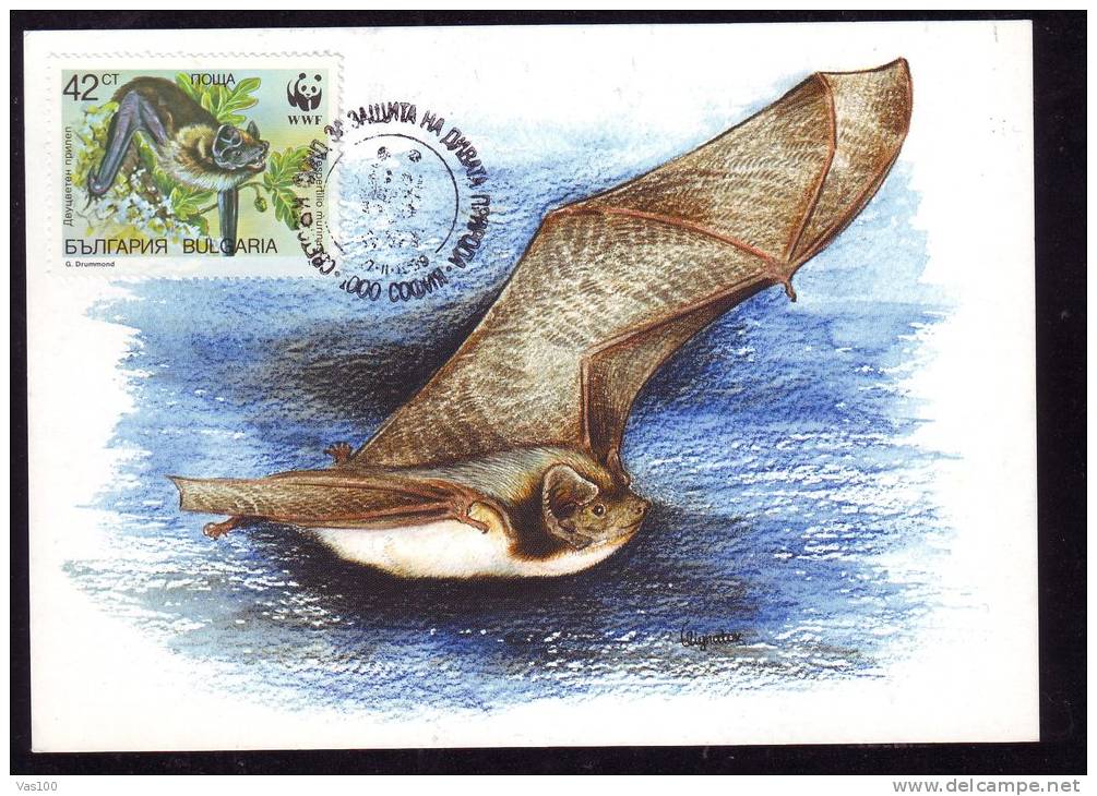 BAT, 1989, CM. MAXI CARD, CARTES MAXIMUM, BULGARIA - Chauve-souris