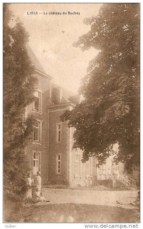 Libin Le Chateau Du Buchay Vers Maissin 1920 Photo Duchene - Libin