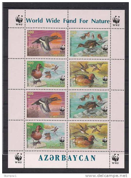 Azerbaijan. 2000 WWF - Ducks. Klb - Azerbaïjan