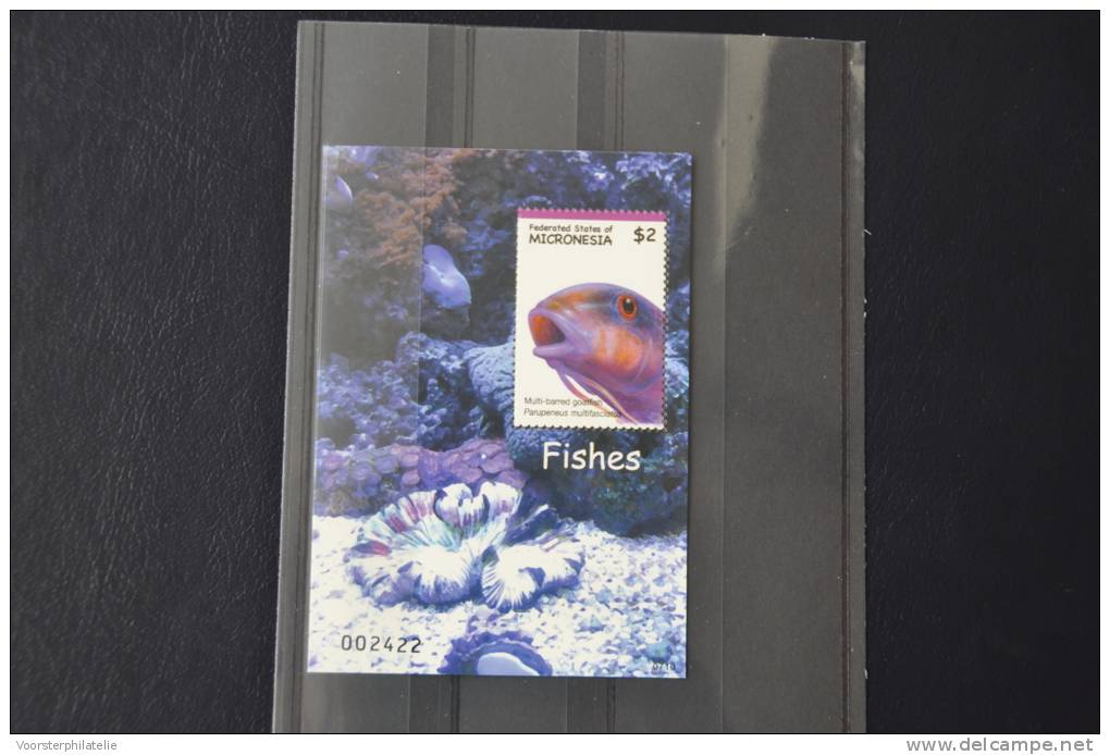 C 88 ++ MICRONESIE 2011 FISH POISSON VISSEN  MNH ** - Micronésie