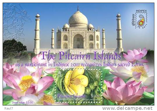 PITCAIRN 2011 - Fleurs Menacés De Pitcairn, Indipex 2011 - BF Neuf*** (MNH) - Pitcairn