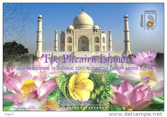 PITCAIRN 2011 - Fleurs Menacés De Pitcairn, Indipex 2011 - BF Neuf*** (MNH) - Pitcairninsel