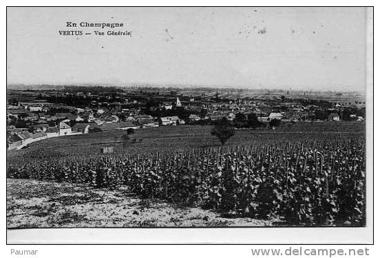 Vertus  Vigne Et Localité - Vertus