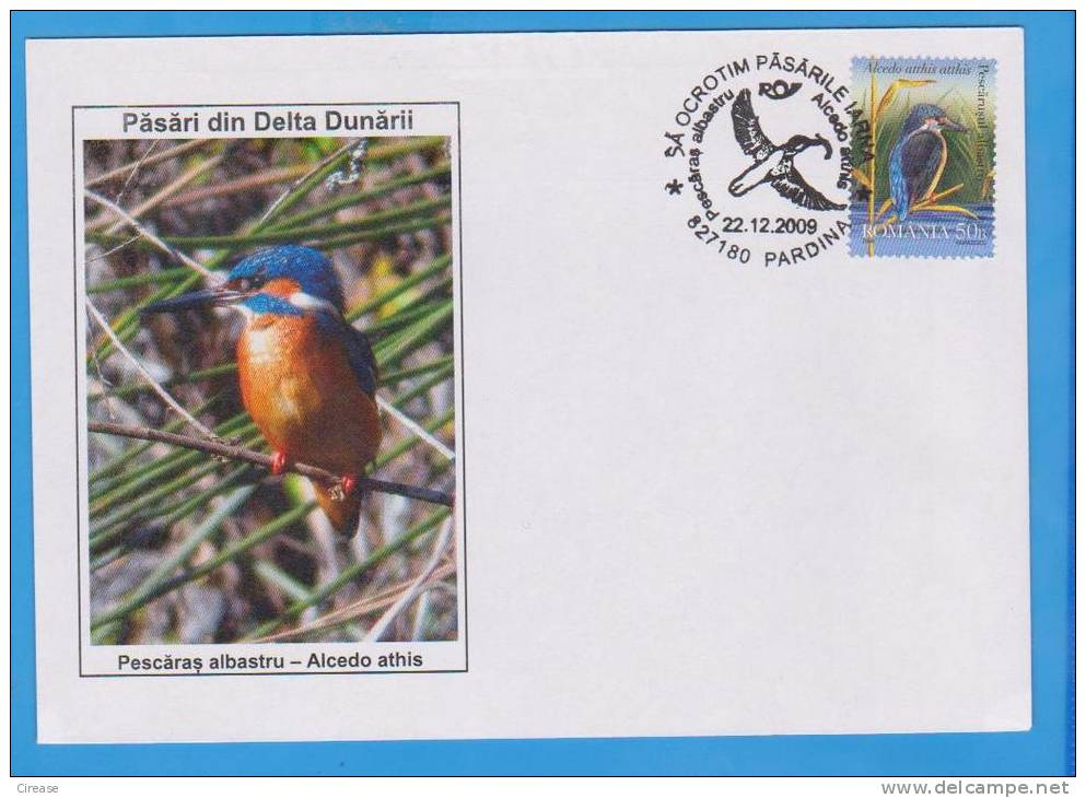 Fisher Blue Alcedo Athis Bird, Birds. ROMANIA  Cover 2009 - Kolibries