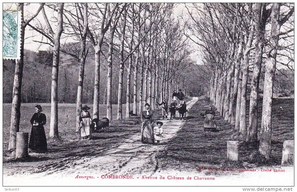 CARTE POSTALE ANCIENNE CPA 63460 COMBRONDE AIGUEPERSE RIOM AUVERGNE PUY De DÔME AVENUE DU CHATEAU DE CHAVANON RAYMOND - Combronde