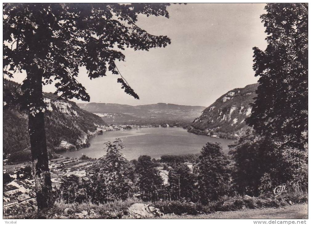 Cp , 01 , NANTUA , Vue Générale Du  Lac - Nantua