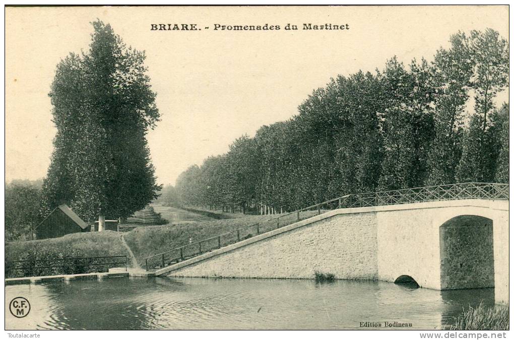 CPA 45 BRIARE PROMENADE DU MARTINET - Briare