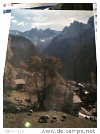 SUISSE SVIZZERA VAL BERGELL BREGAGLIA  VUE  SOGLIO   VB1992 DS14707 - Bregaglia