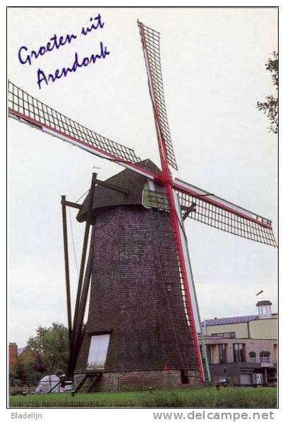 ARENDONK (Antw.) - Molen/moulin - Zeldzame Achtkante Houten Molen "De Toreman" Of "Steendonker Na De Restauratie - Arendonk