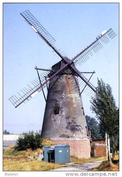 EKSEL (Limb.) - Molen/moulin/mill - Historische Opname Van De Verdwenen Sint-Antoniusmolen (gesloopt: 1981) - Hechtel-Eksel