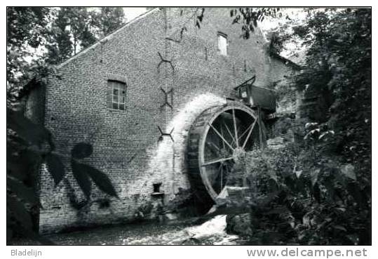 SINT-DENIJS-BOEKEL (O.Vl.) - Molen/moulin/mill - De Moldergemmolen In 1979 Vóórdat Deze Een Horecafunctie Kreeg. Fraai ! - Zwalm