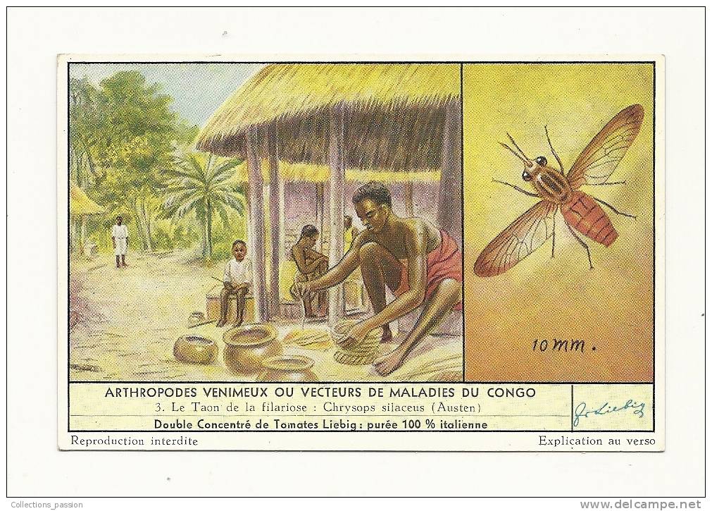 Chromos, Compagnie Liebig - Arthropodes Venimaeux Ou Vecteurs De Maladies Du Congo - Liebig