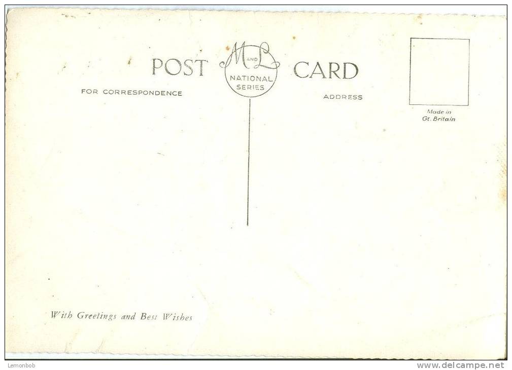 United Kingdom, Durl Head, Brixham, Unused RP Postcard [P8915] - Other & Unclassified