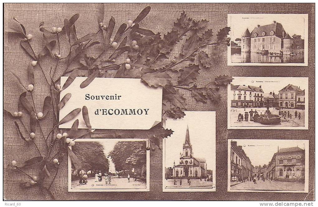 Cpa Ecommoy, Souvenir D'ecommoy, Gui, Houx - Ecommoy