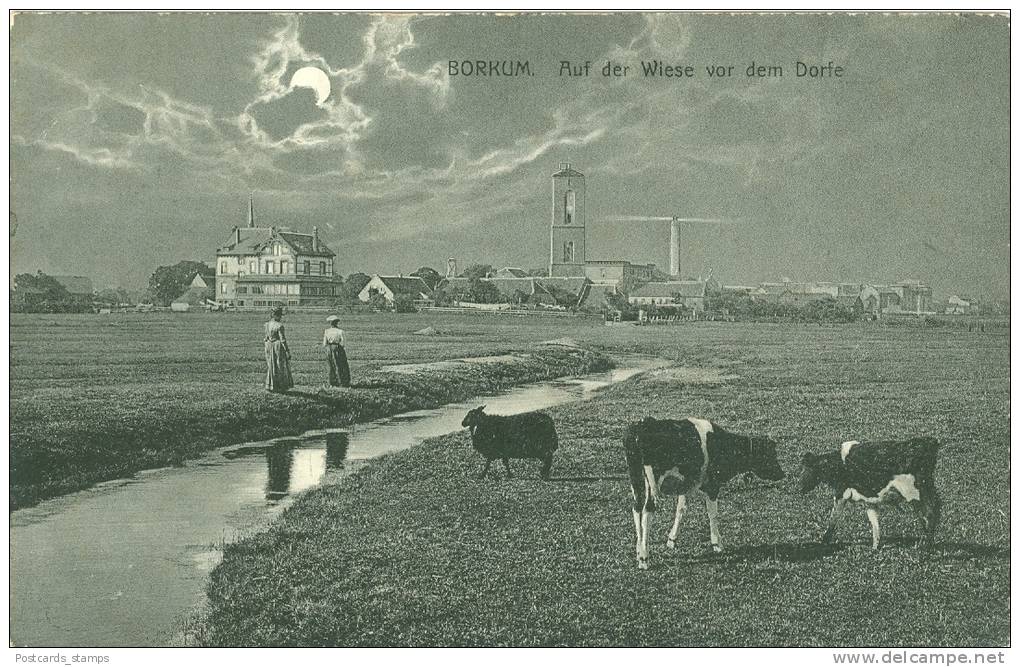 Borkum, Auf Der Wiese Vor Dem Dorfe, Um 1910/20 - Borkum