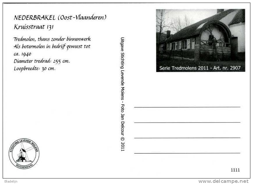 NEDERBRAKEL ~ Brakel (O.Vl.) - Molen/moulin - Prentkaart Van De Botermolen (hondenmolen) In De Kruisstraat - Brakel