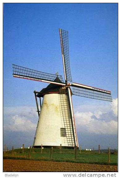 NUKERKE Bij Maarkedal (O.Vl.) - Molen/moulin - Ter Hengst Molen In 1984 - Maarkedal