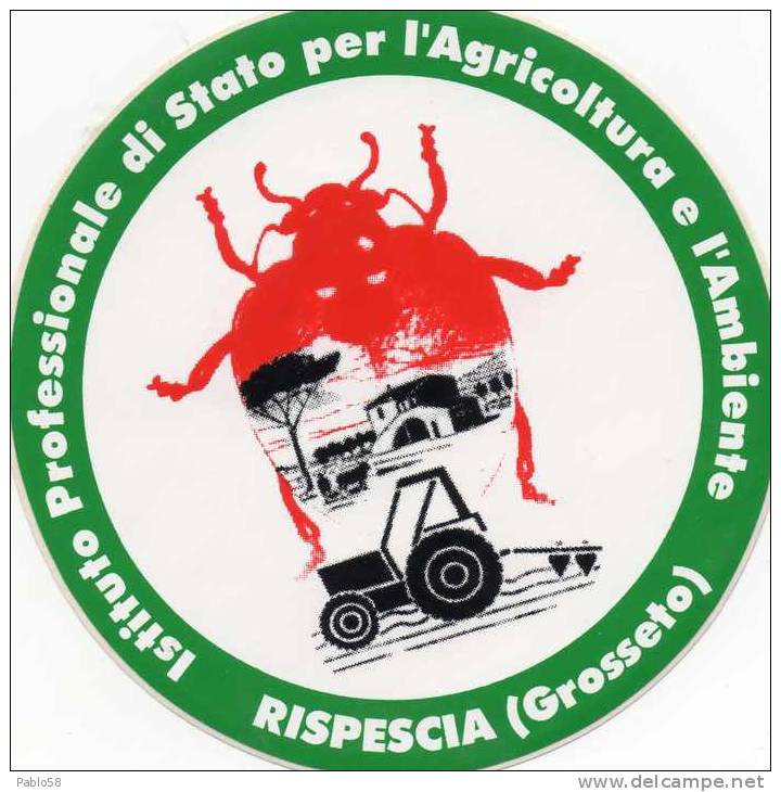 ADESIVO STICKER  ISTITUTO PROFESSIONALE AGRICOLTURA AMBIENTE RISPESCIA Grosseto Scuola - Other & Unclassified