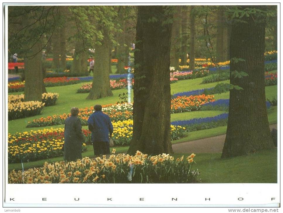Holland, Netherlands, Keukenhof, 1994 Used Postcard [P8941] - Lisse