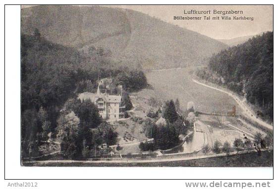 AK Litho Bad Bergzabern Böllenborner Tor Mit Villa Karlsberg Um 1920 Gel. Nach Rochester - Bad Bergzabern