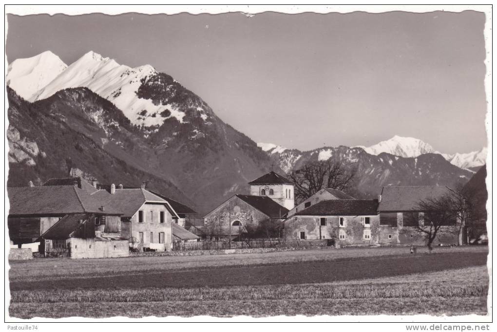 5050   VIUZ-FAVERGES  (Haute-Savoie)  -  Le  Mont  Charvin  Et  Le  Mont  Blanc - Faverges