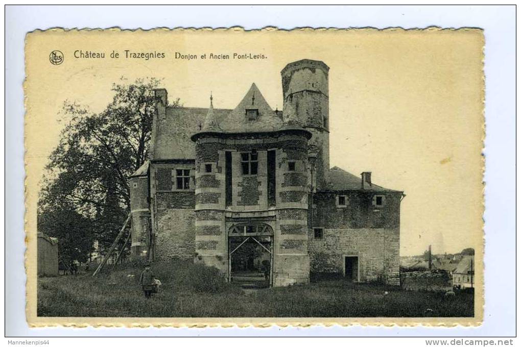 Trazegnies - Château De Trazegnies - Courcelles