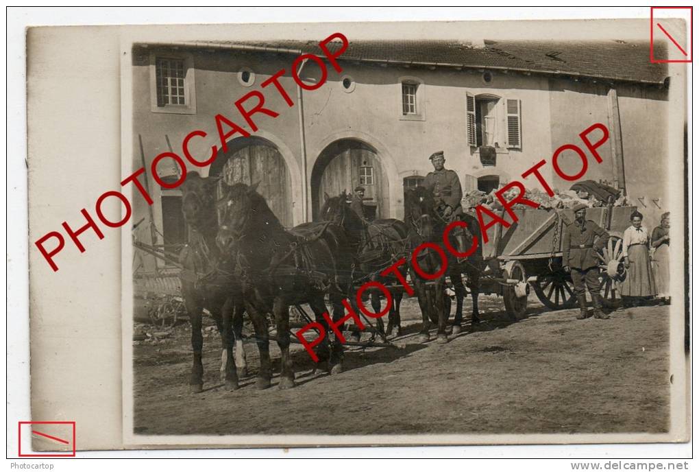 TINCRY-Attelage-Chevaux-CARTE PHOTO Allemande-Guerre 14-18-1 WK-FRANCE-57-1WK-Militaria- - Autres & Non Classés