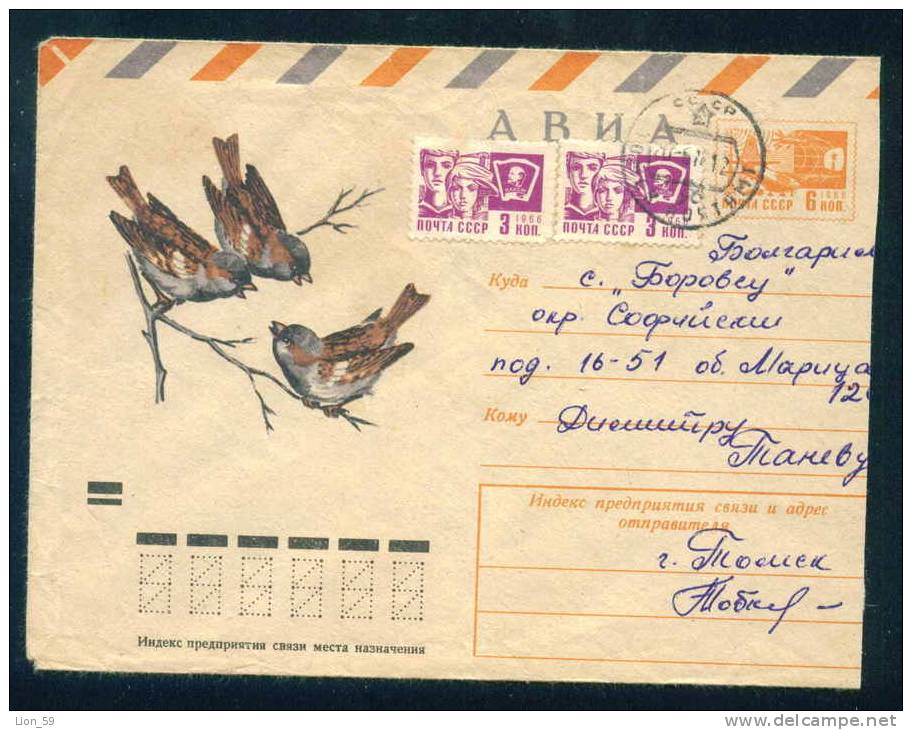 PS8967 / ANIMALS The Sparrows Are A Family Of Small Passerine Birds 1974 Stationery Entier Russia Russie - Moineaux