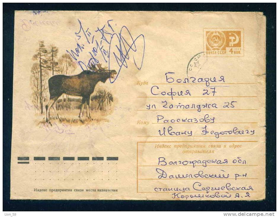 PS8970 / ANIMALS The Moose (North America) Or Eurasian Elk (Europe) (Alces Alces) 1974 Stationery Entier Russia Russie - Wild