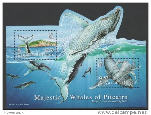 PITCAIRN ISLANDS>WHALES>MINIATURE SHEET - Vie Marine