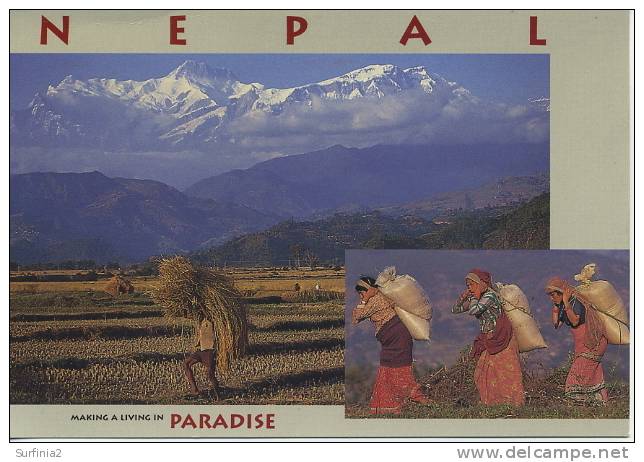 NEPAL - MAKING A LIVING IN PARADISE - Népal